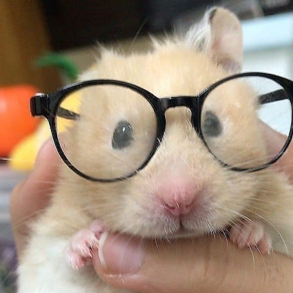 캄