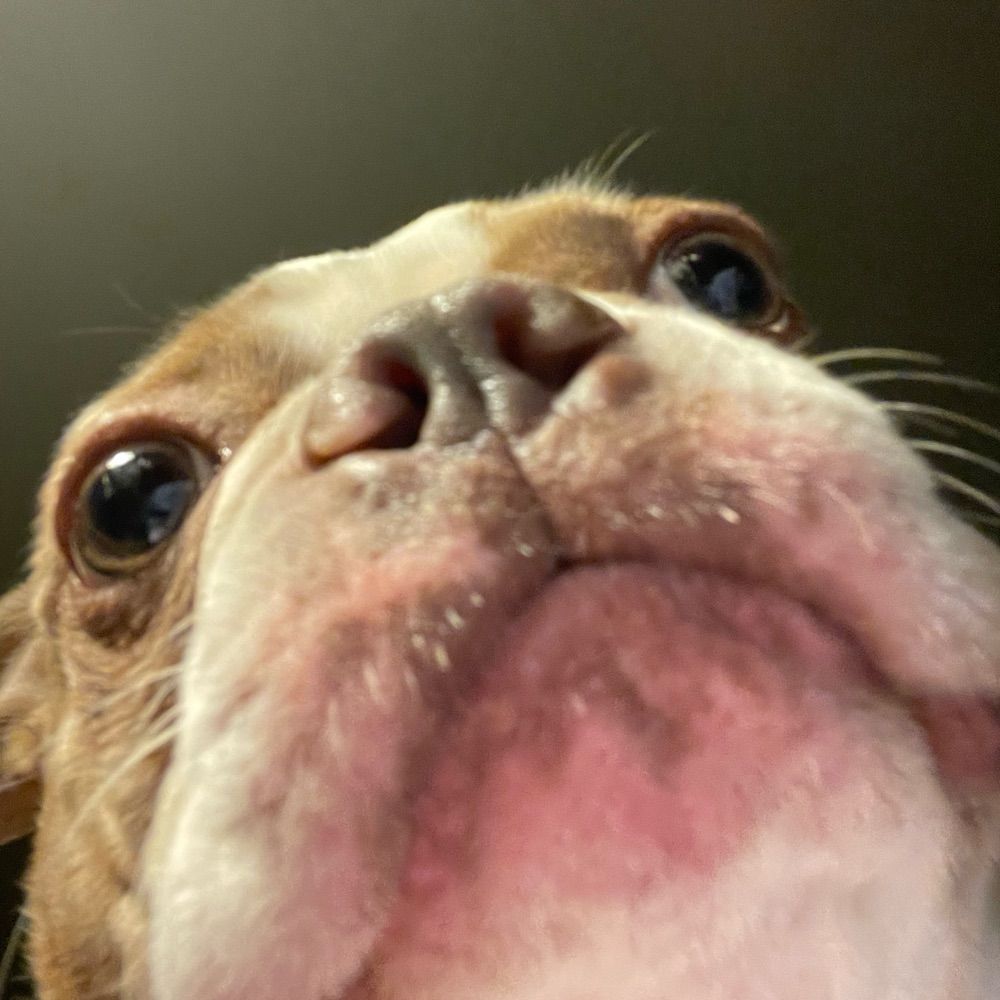 Skye