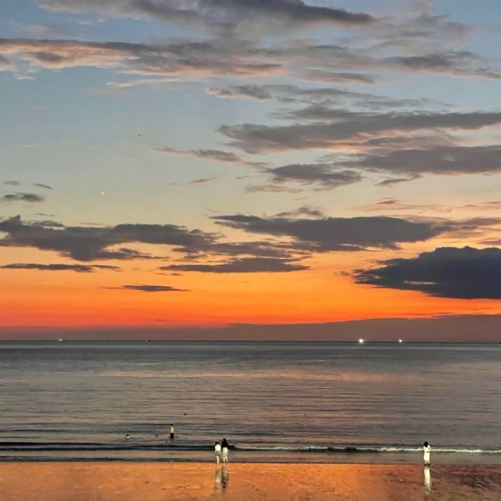 lulupark.bsky.social