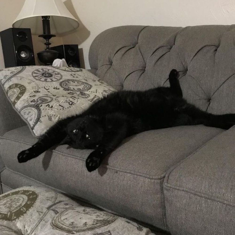 BlackSarun