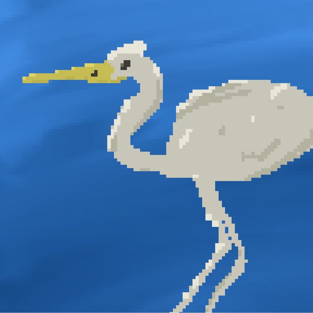 Heron Illustrations