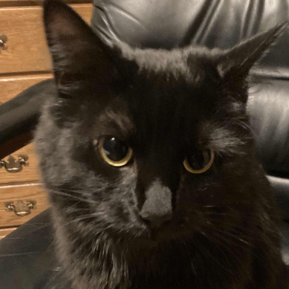 Kiira