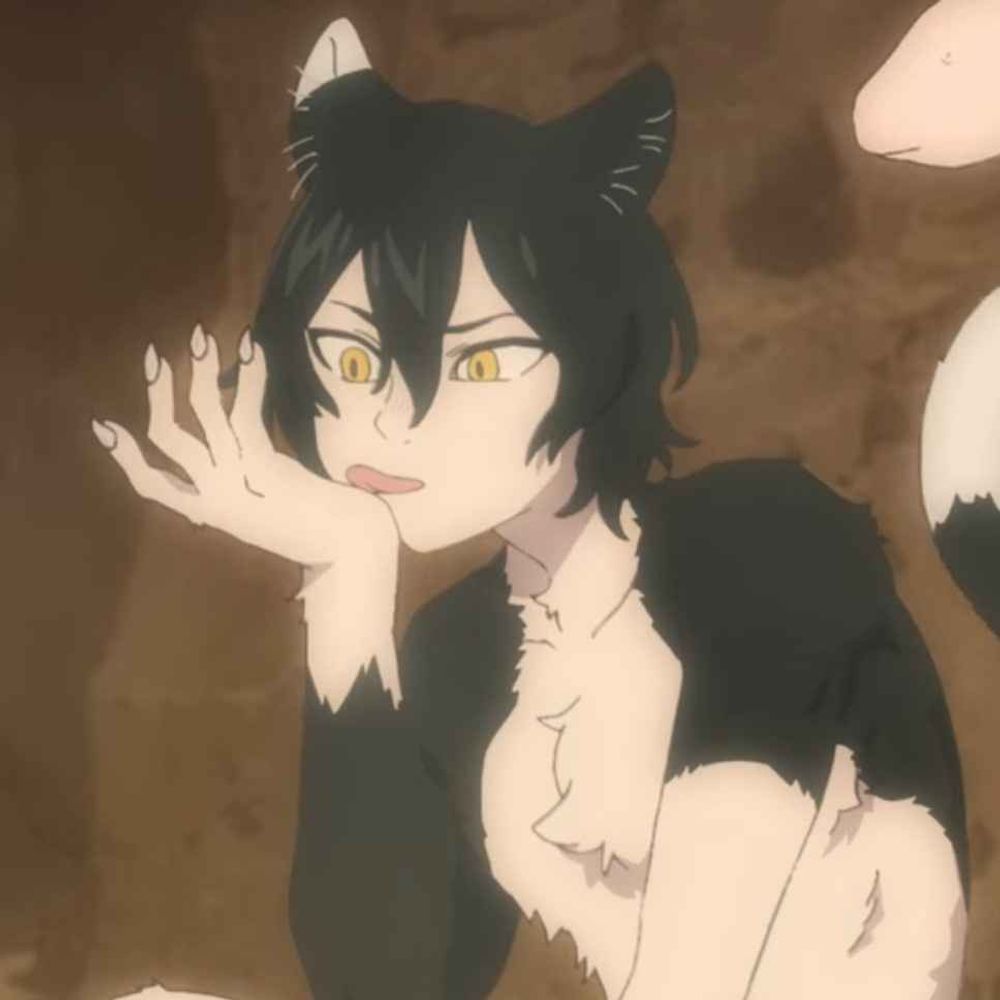 Heraameow