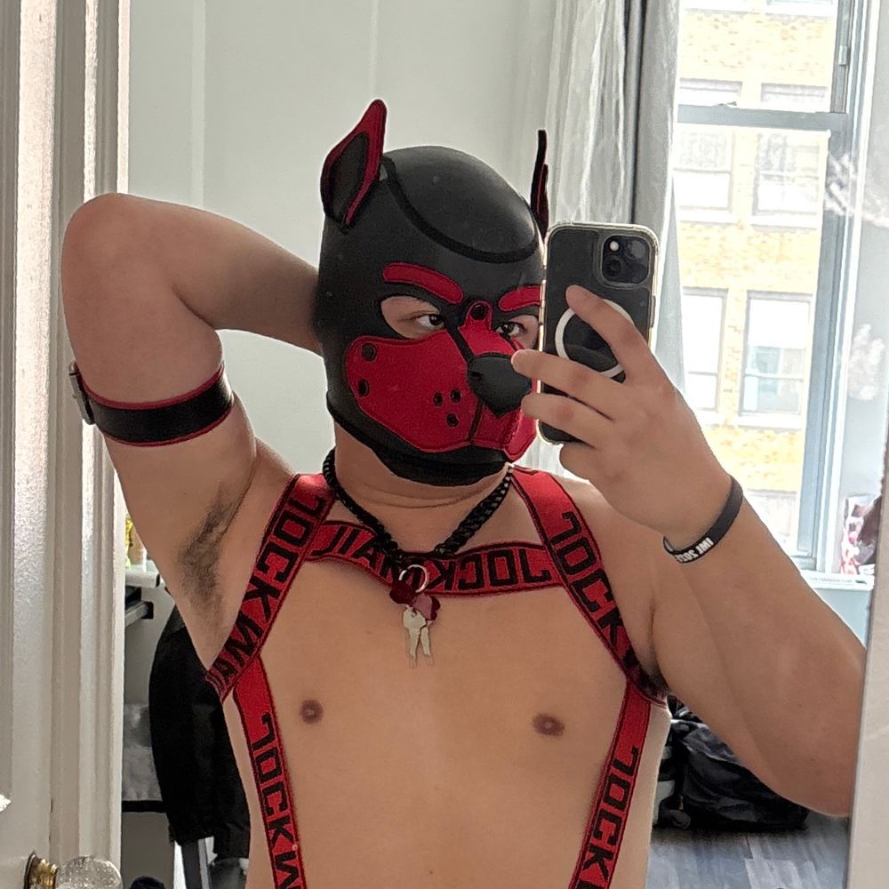 Pup Draco