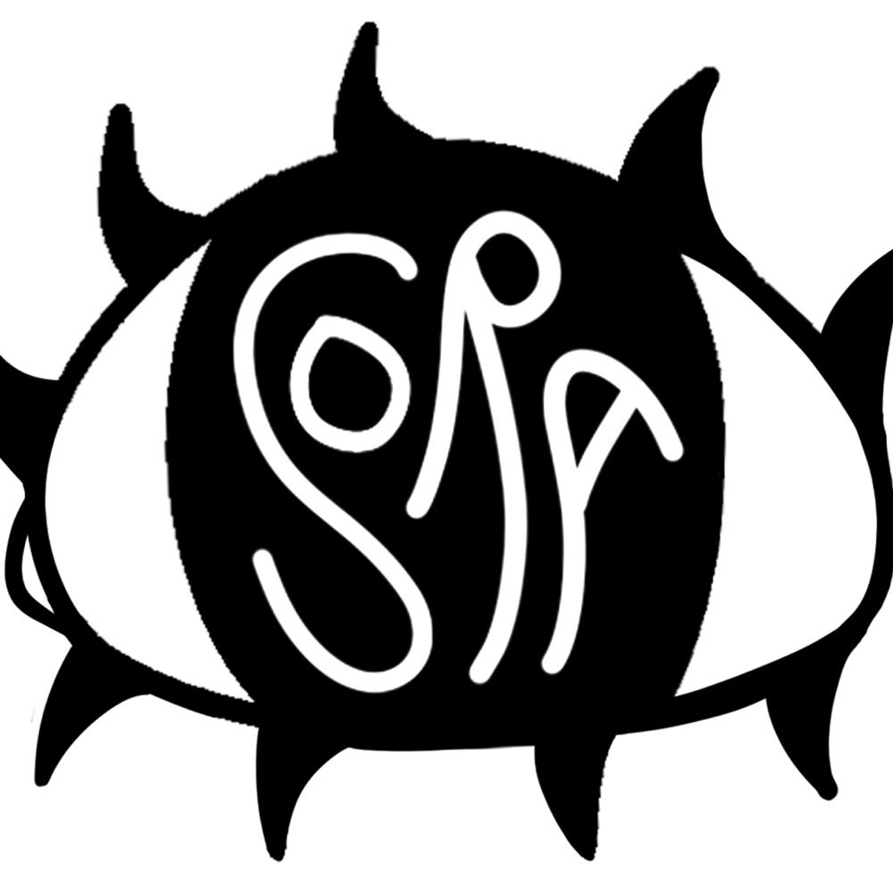 Strother School of Radical Attention
