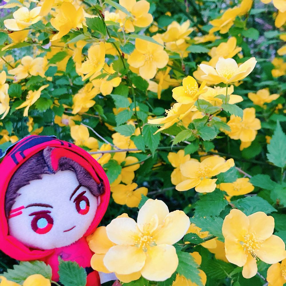 ひとま