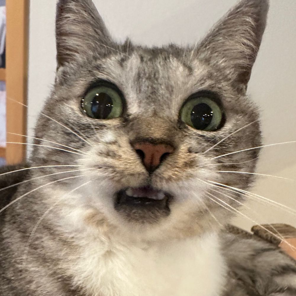 ココニャ