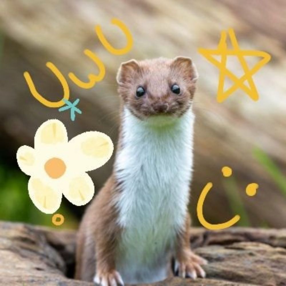 Weasel_Express