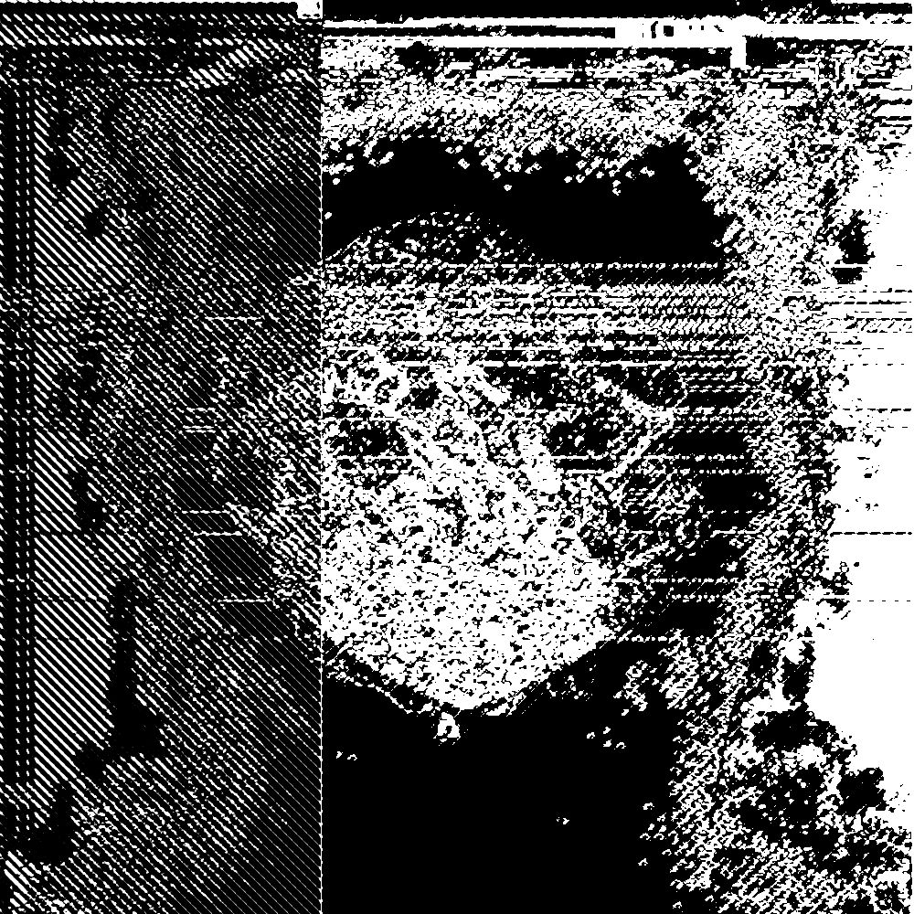 L X Y N T H