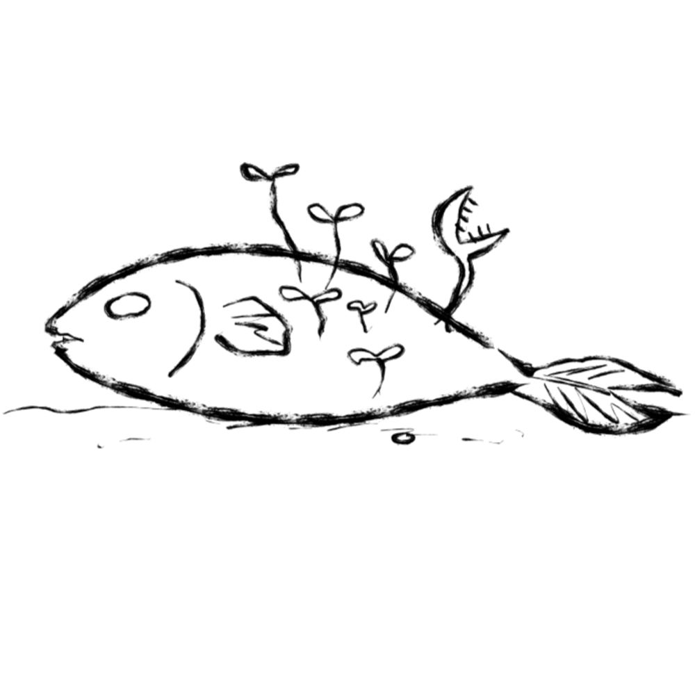 トバさば🎣