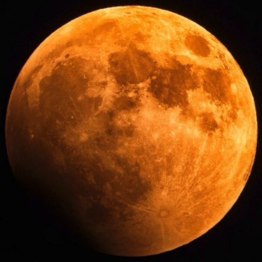 The Serious Moonlight