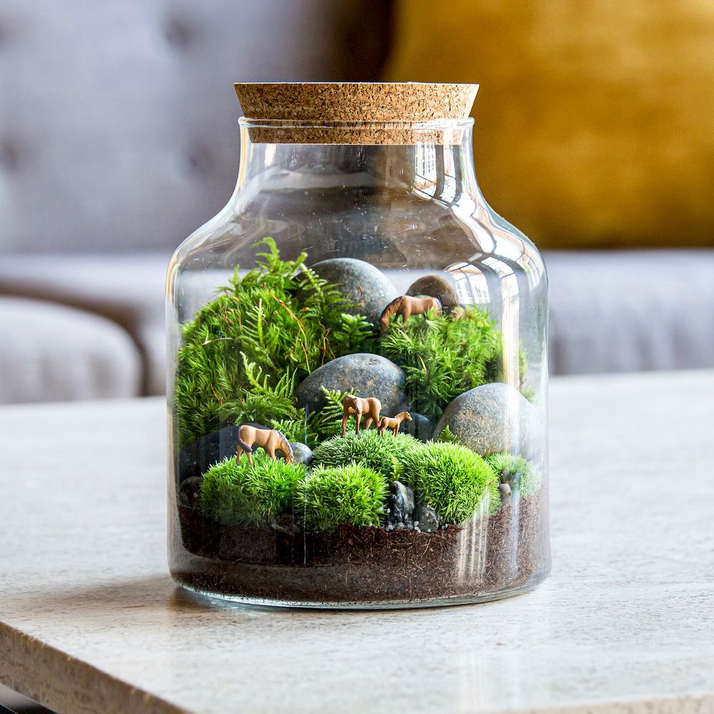 Terrariums