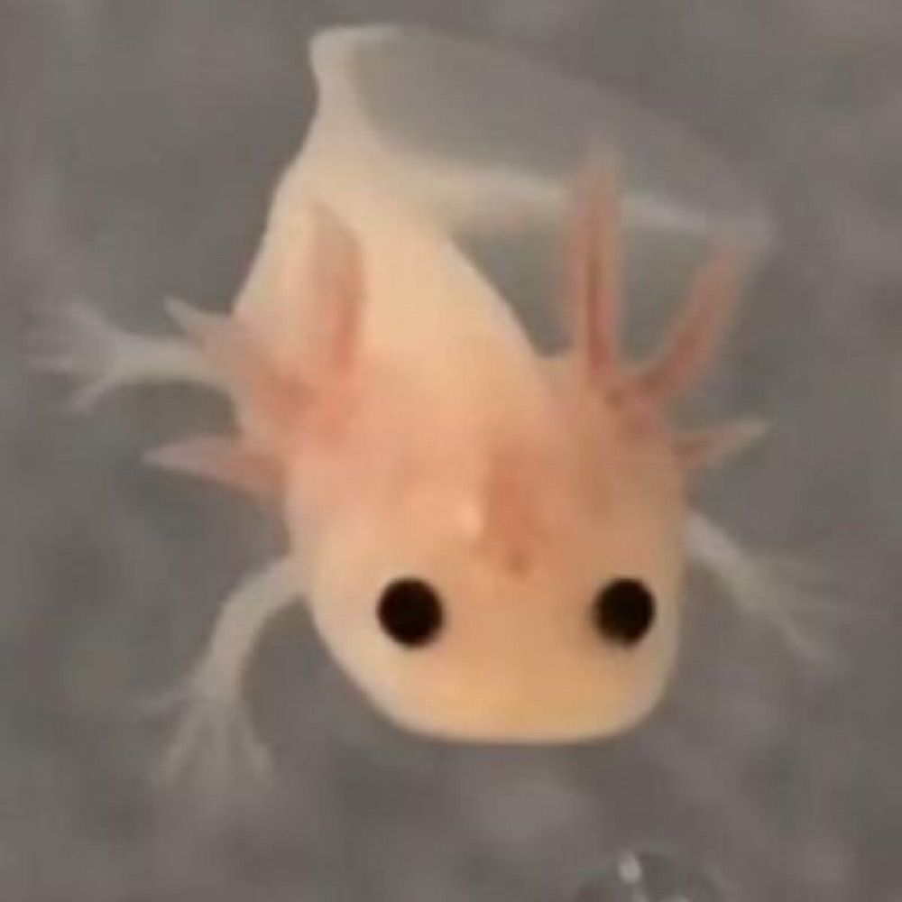 A little bit of a baby maybe