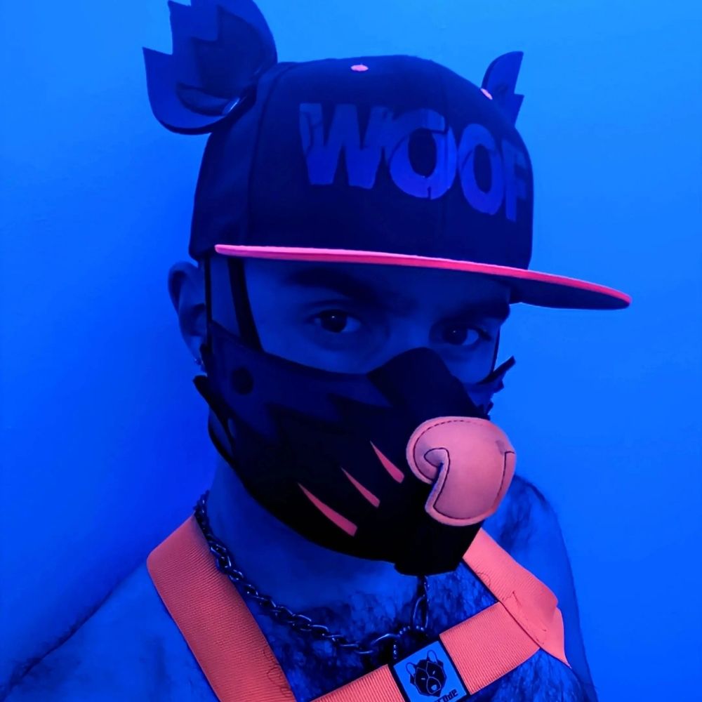 Pup Pixel Stardust