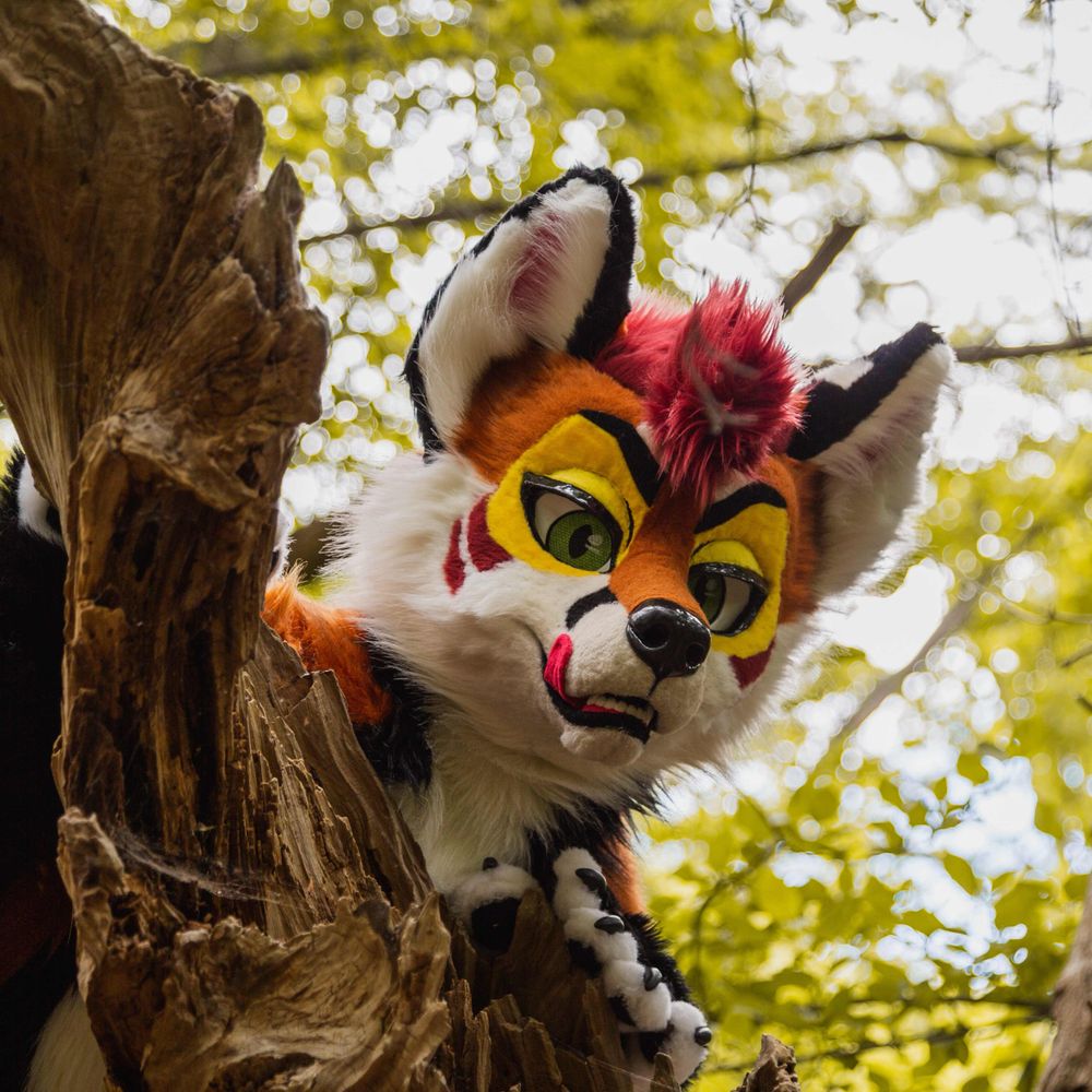 Kage 🦊🥚🧡