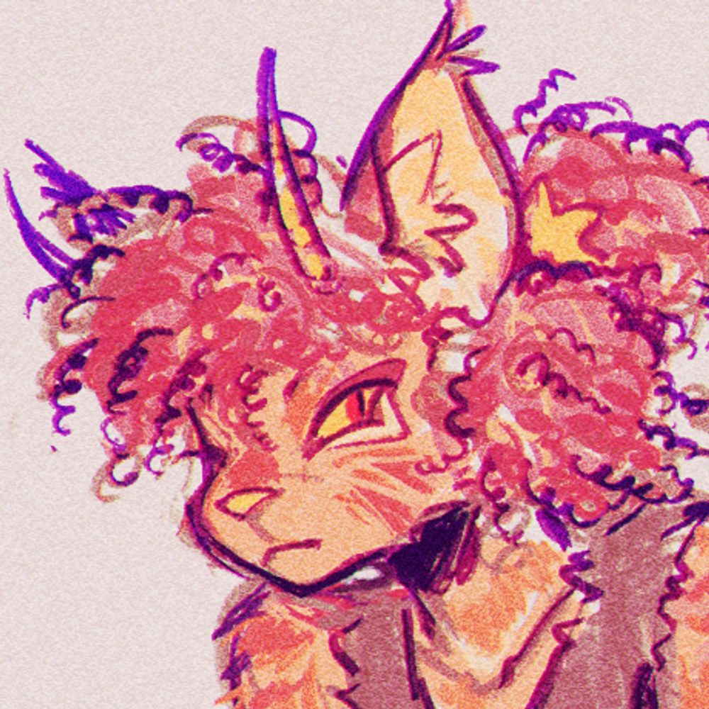 squidpawz