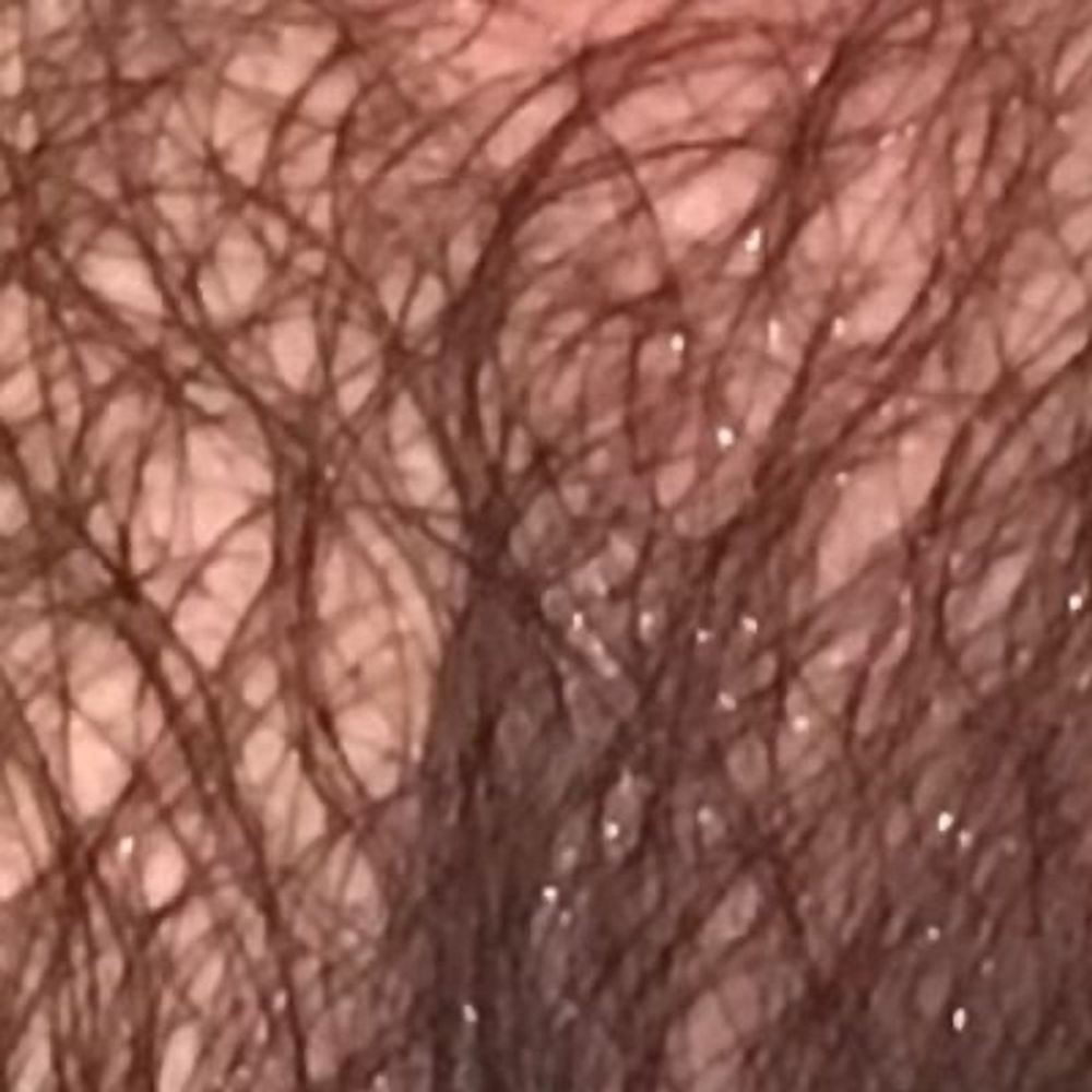 HairyTomxxx