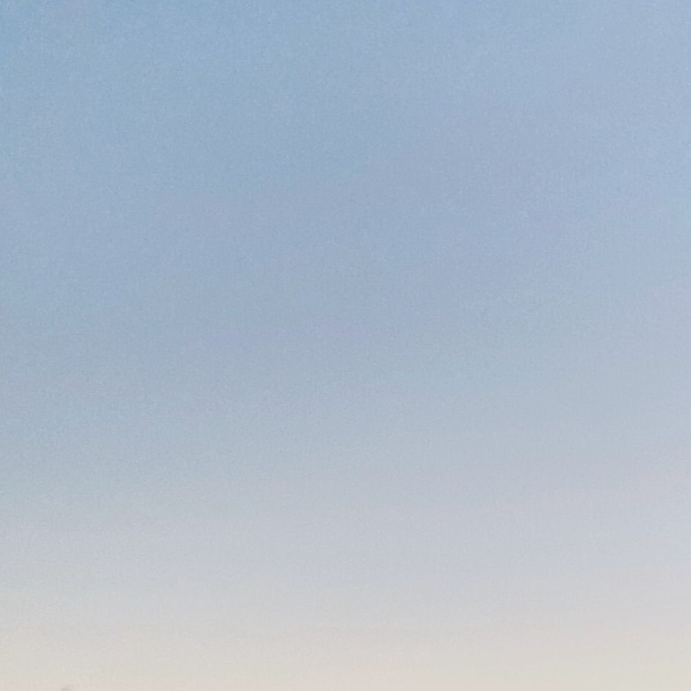 雨