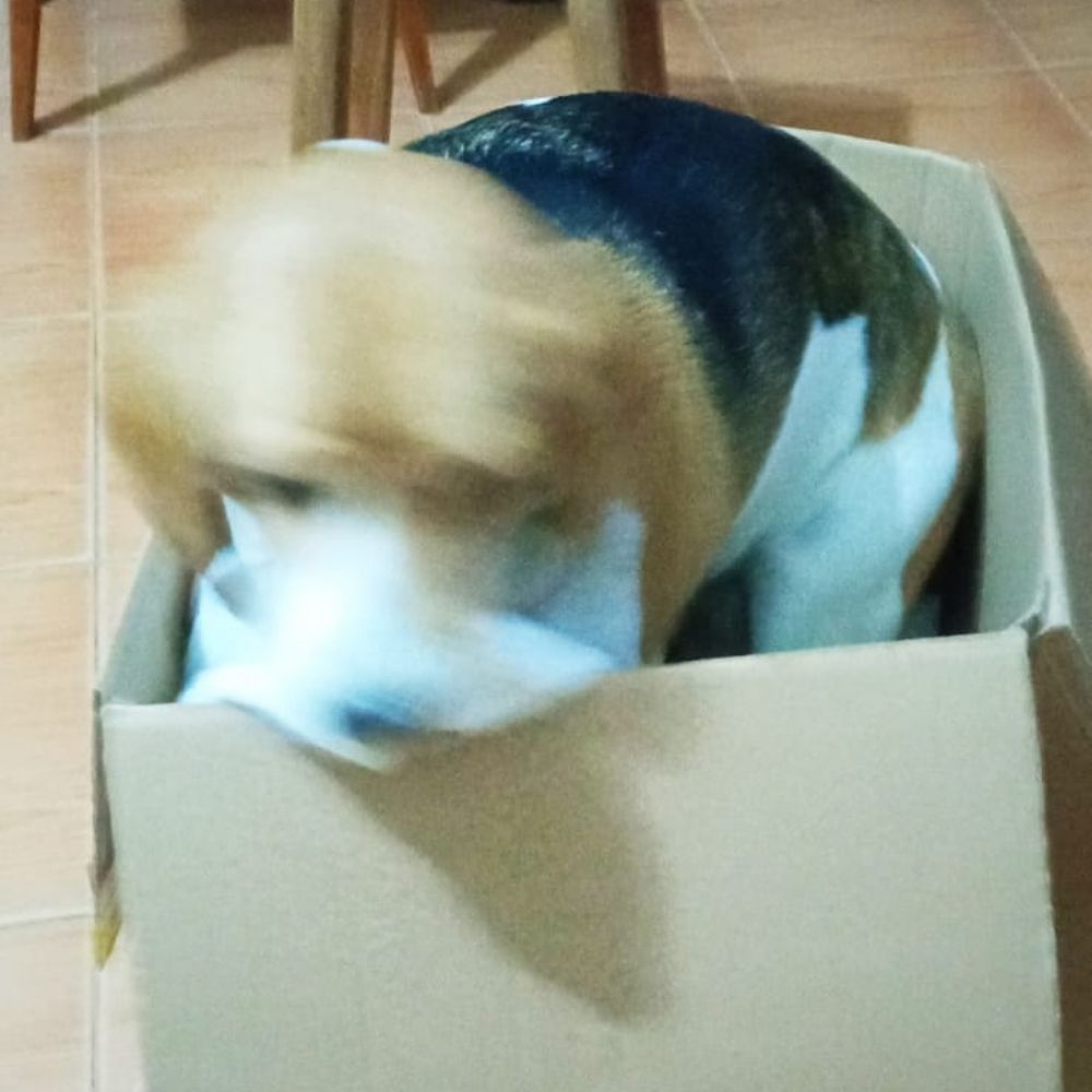 andreza