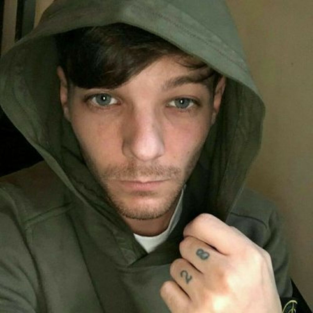 lele ⚢ viu o louis e o harry