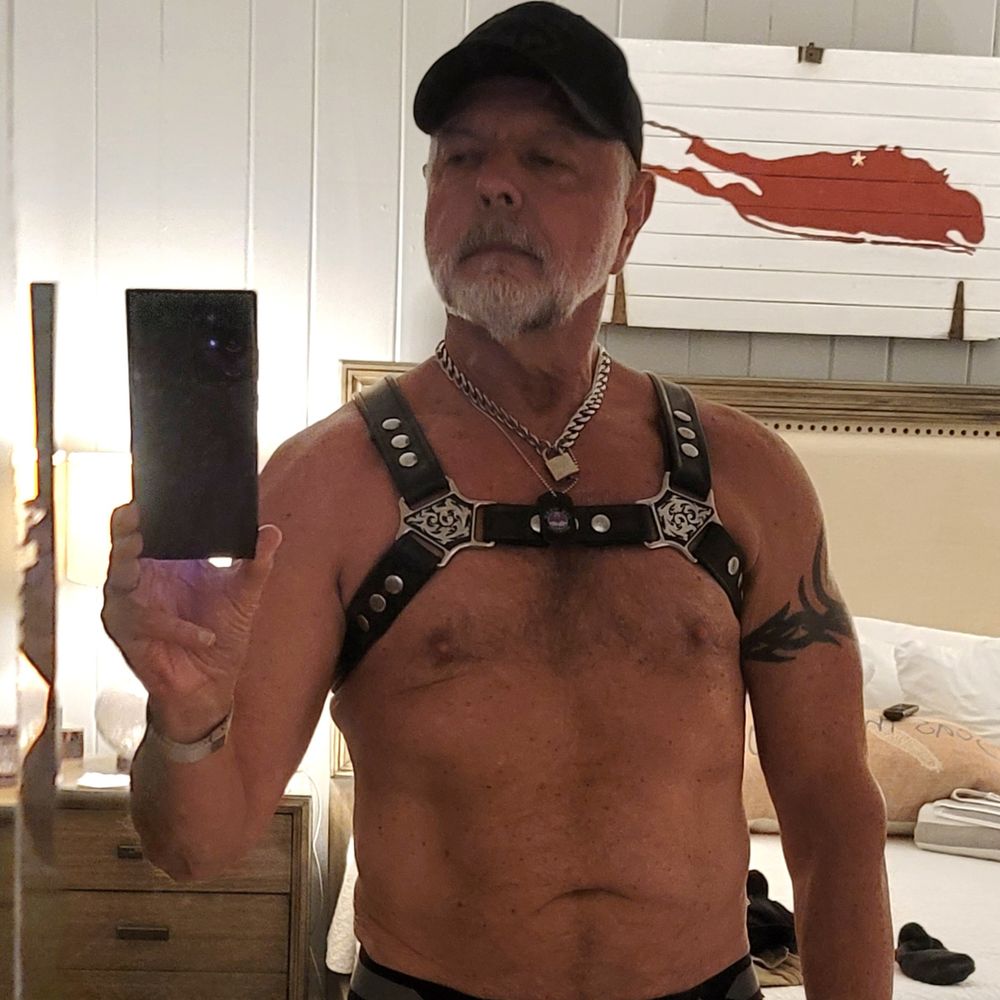 St Pete Daddy
