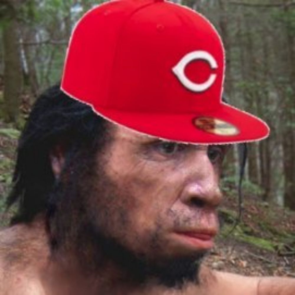 Baseball Erectus