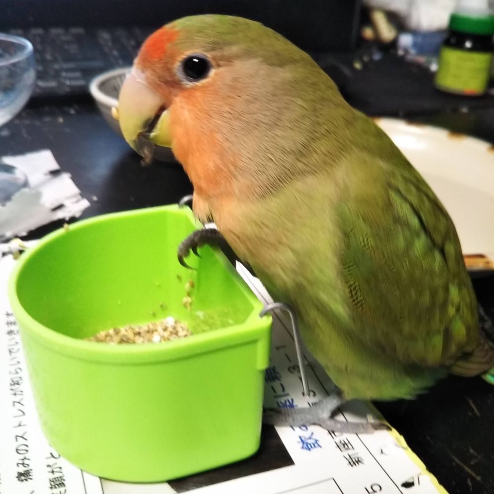 ユリアン