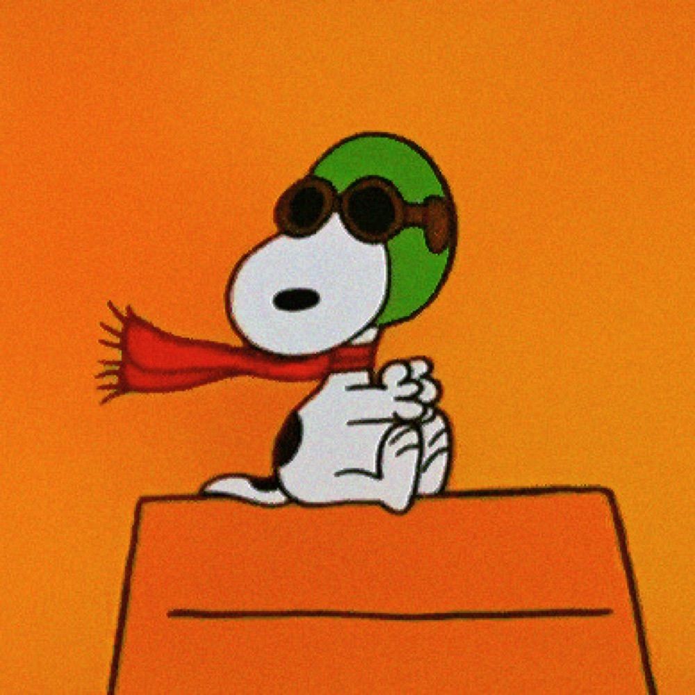 snoopied