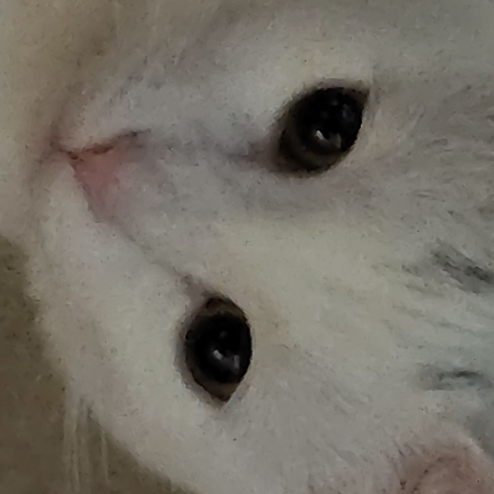 dizzie