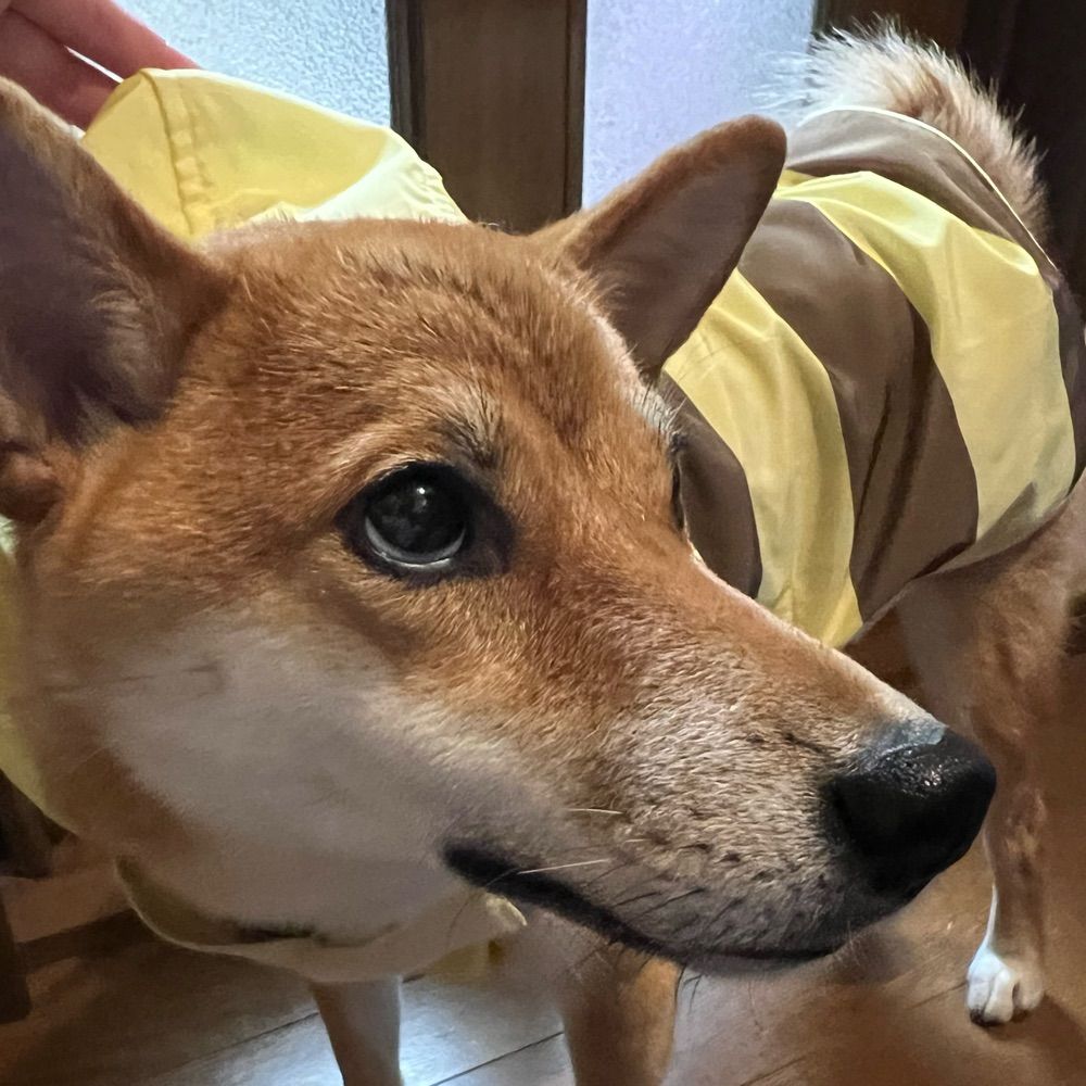 を