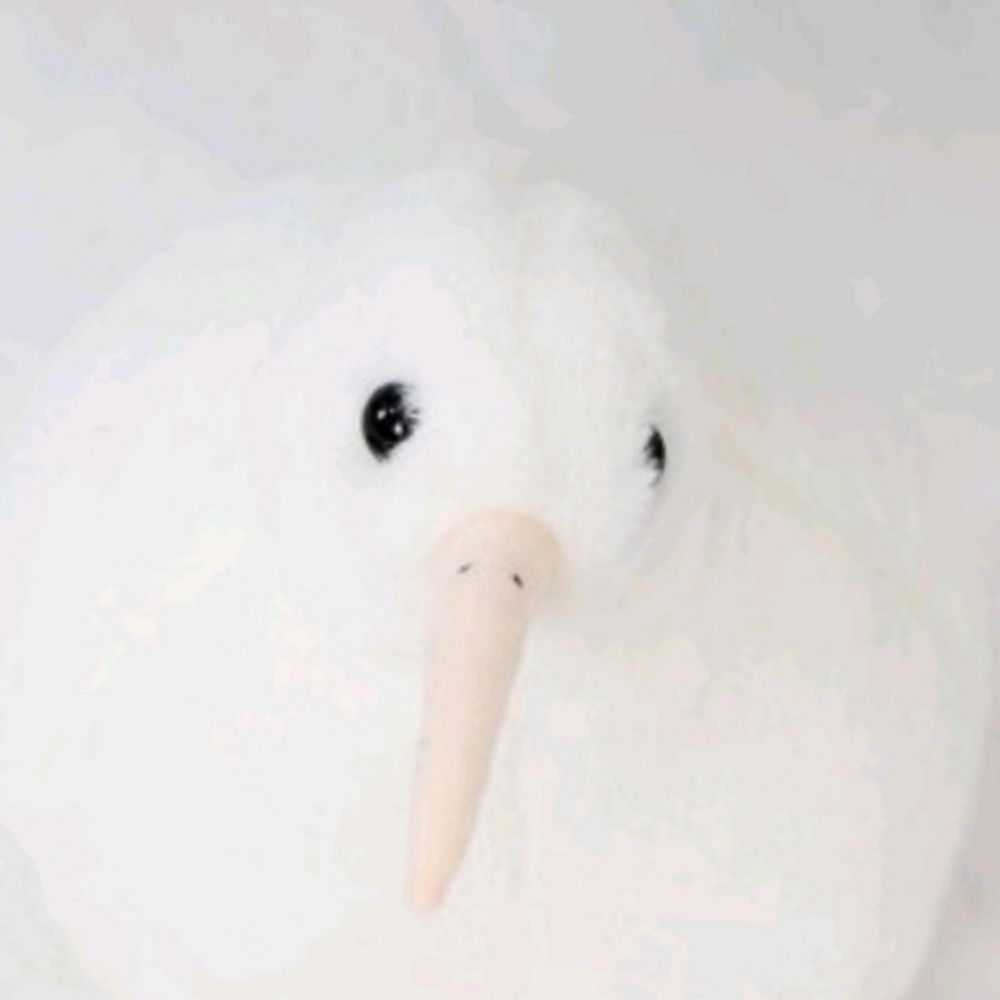 인체모형