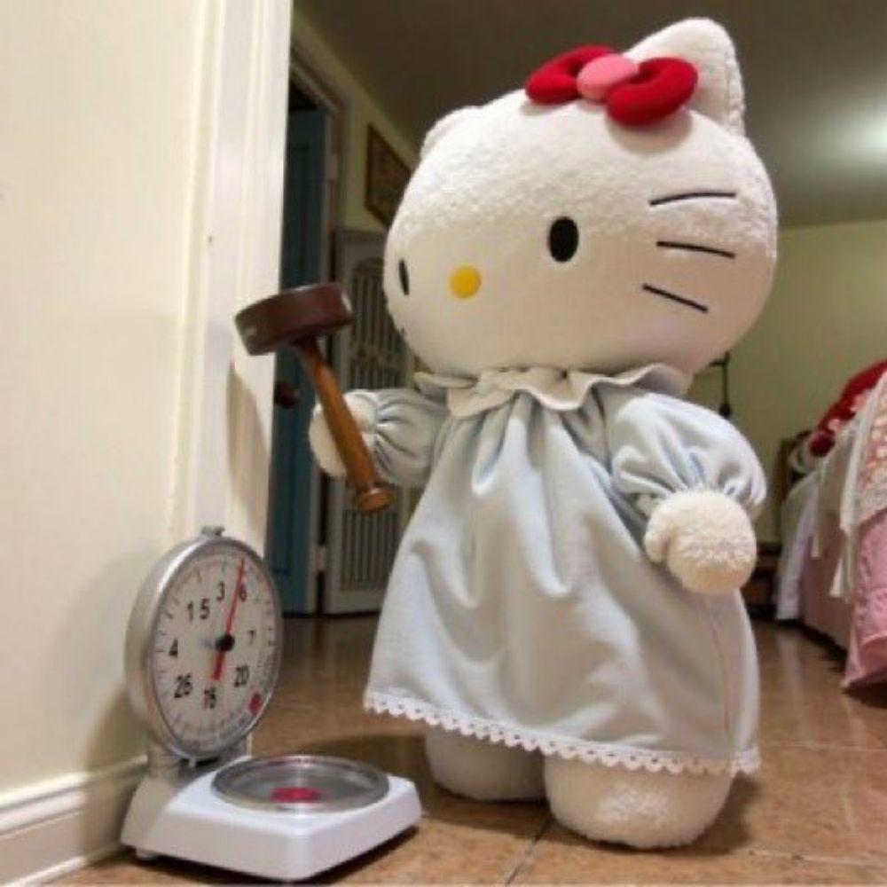 섹트의이유