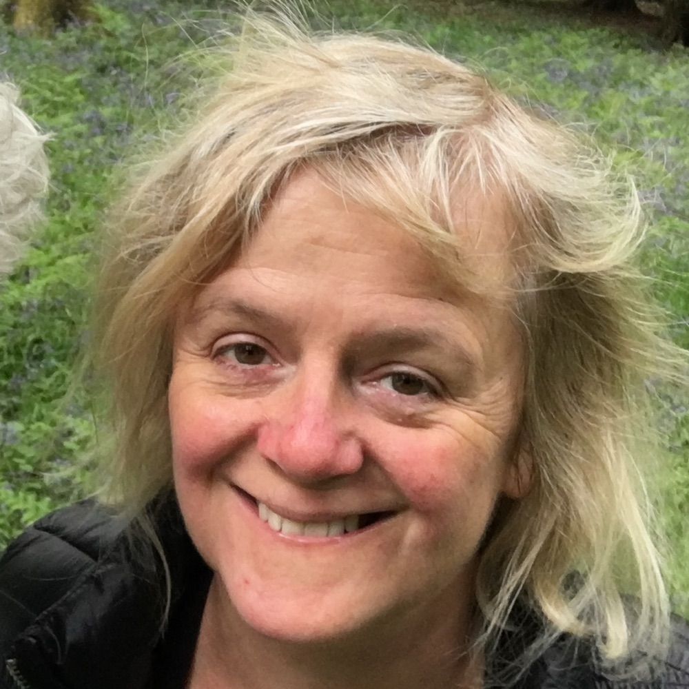 Meg van Rooyen