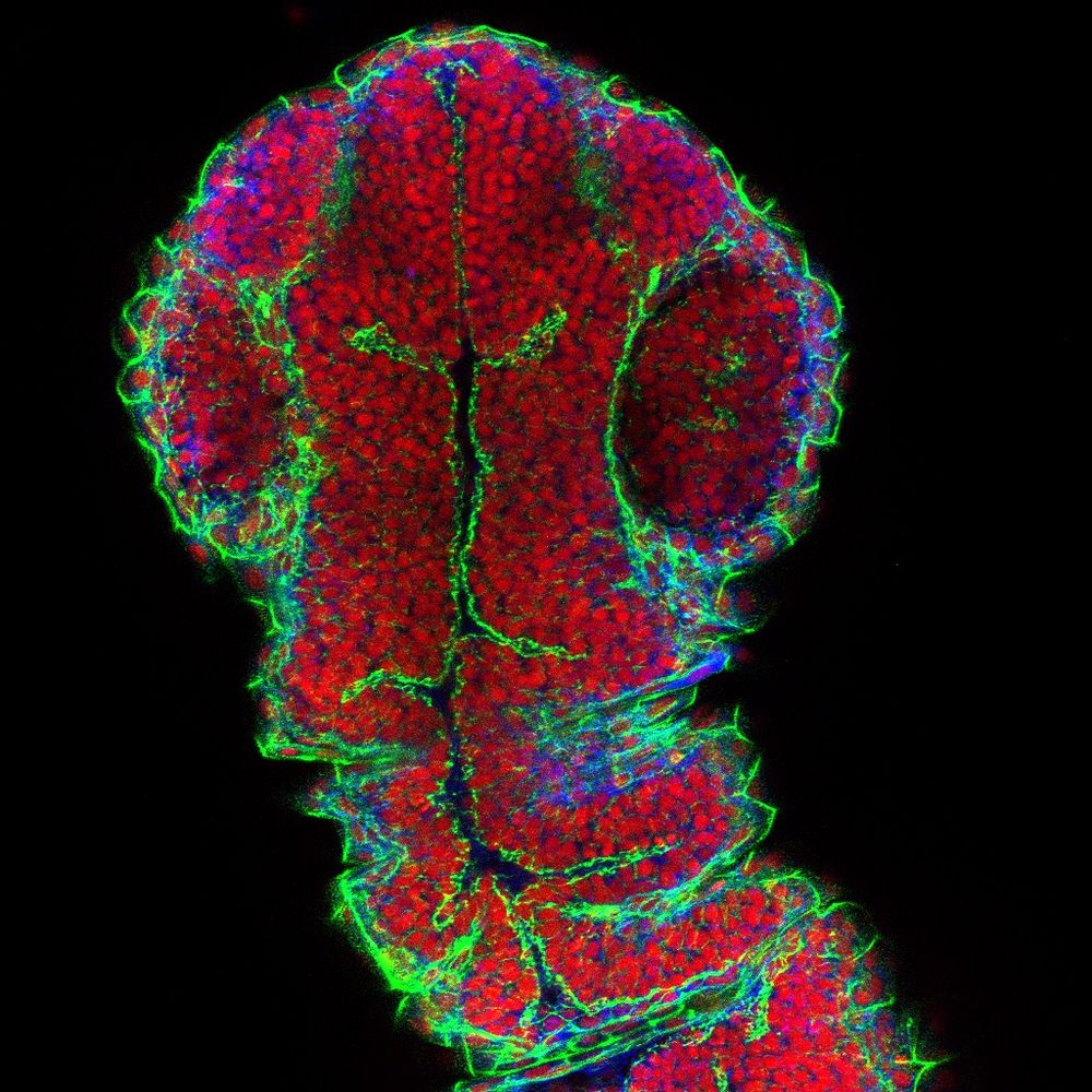 La Trobe Bioimaging Platform