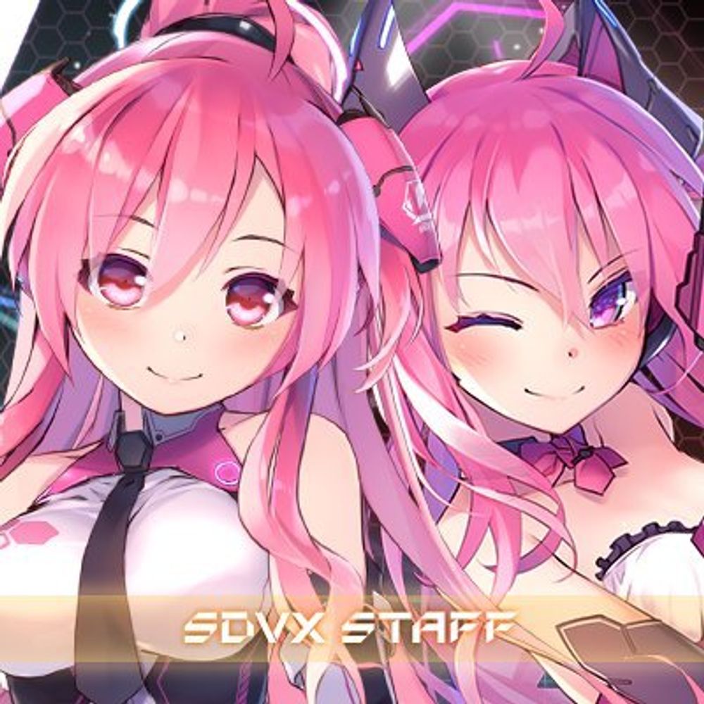 SOUNDVOLTEX STAFF (mirror)