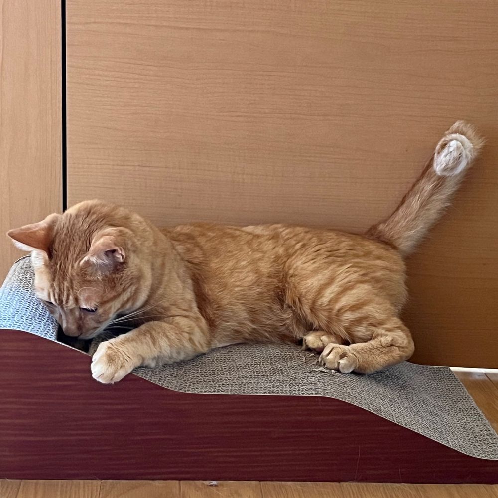 ちりり