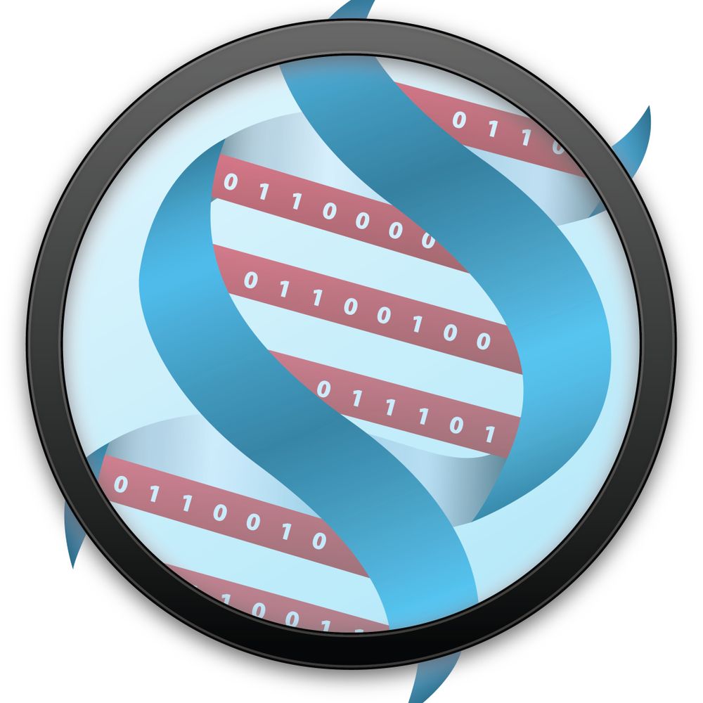 Synalysis