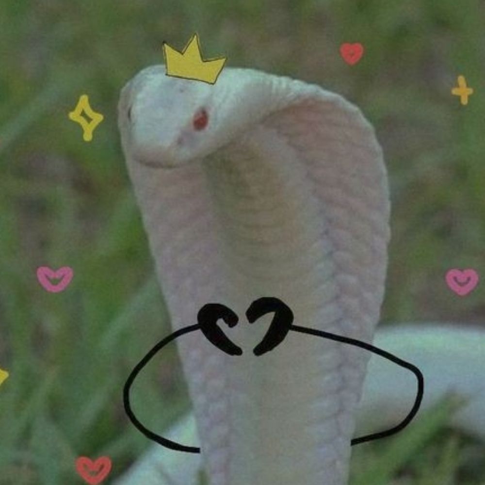 Isa🐍