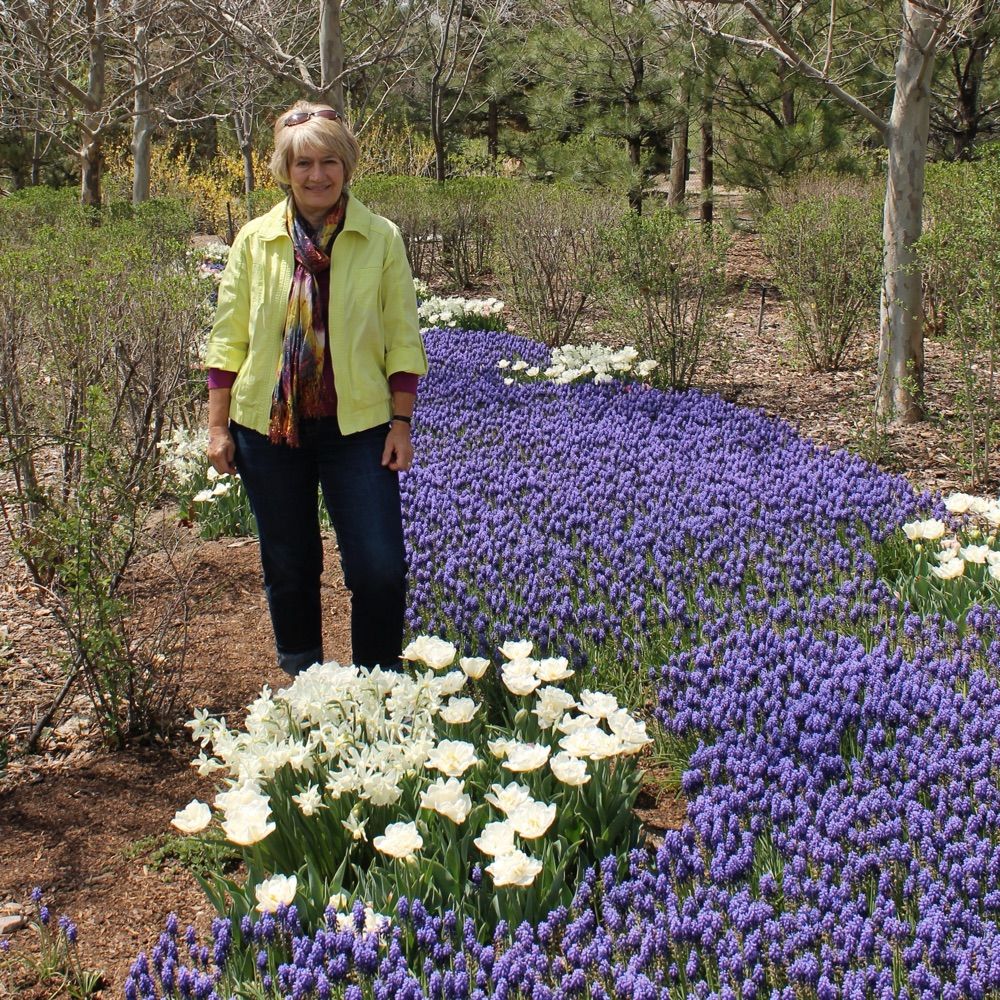 Linda Cooper