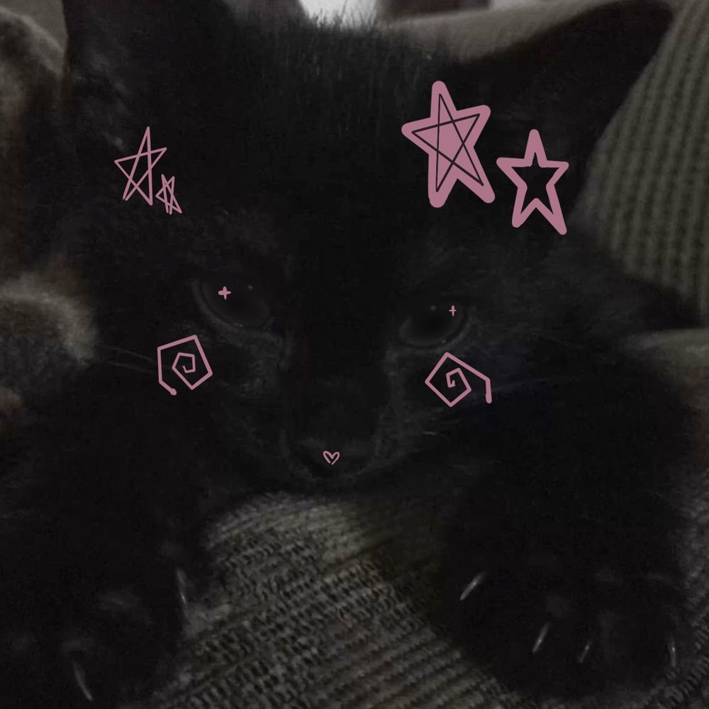 Maxxy☆