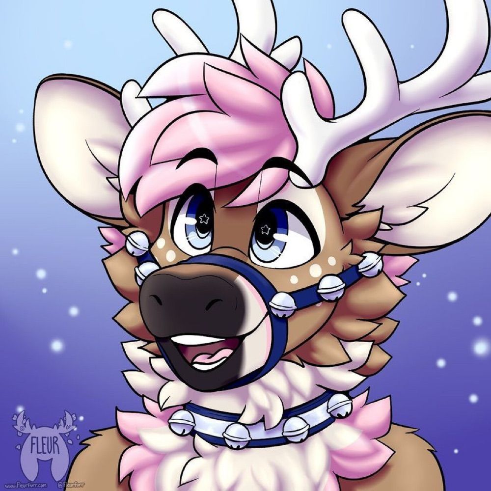 Cody Deer