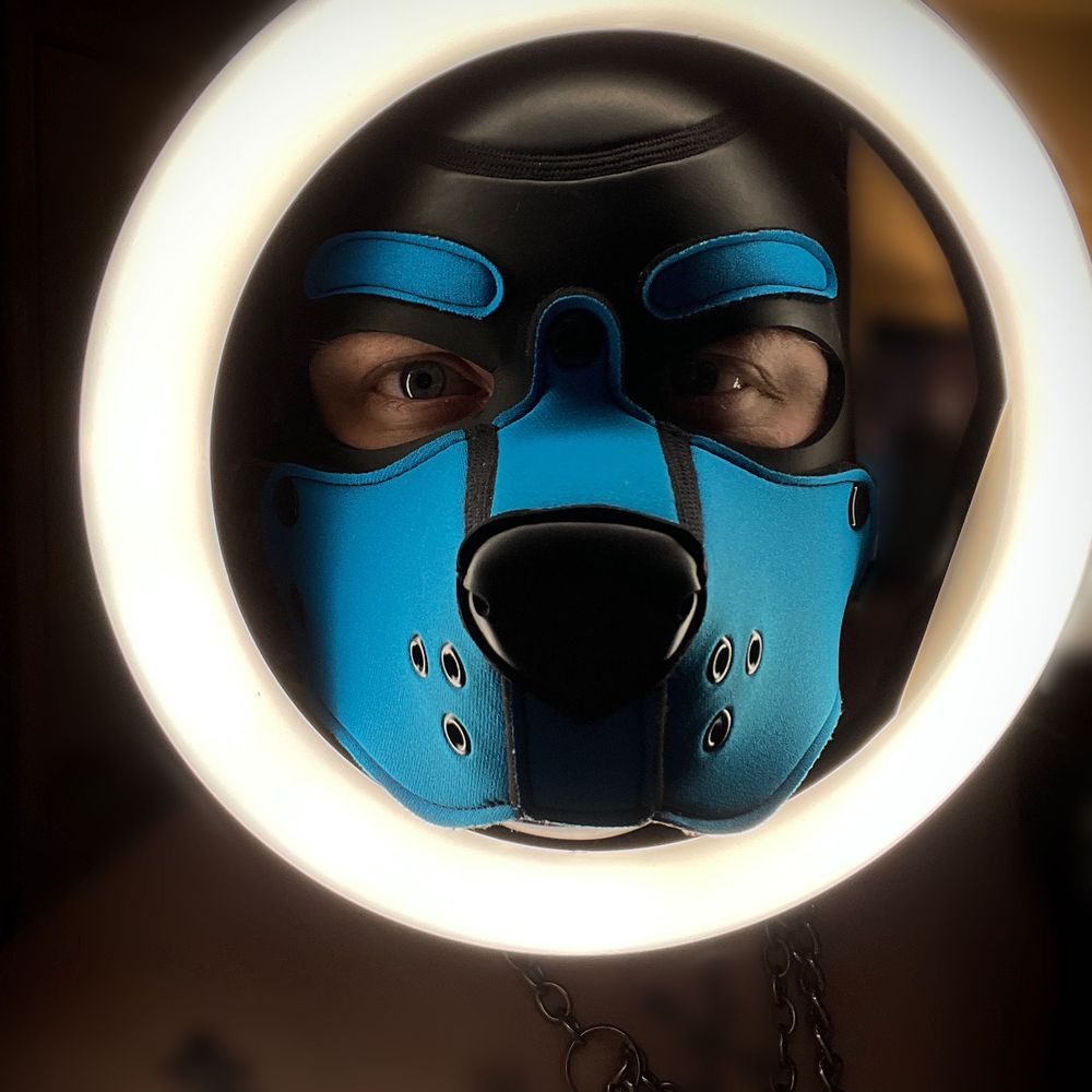 Pup Panic