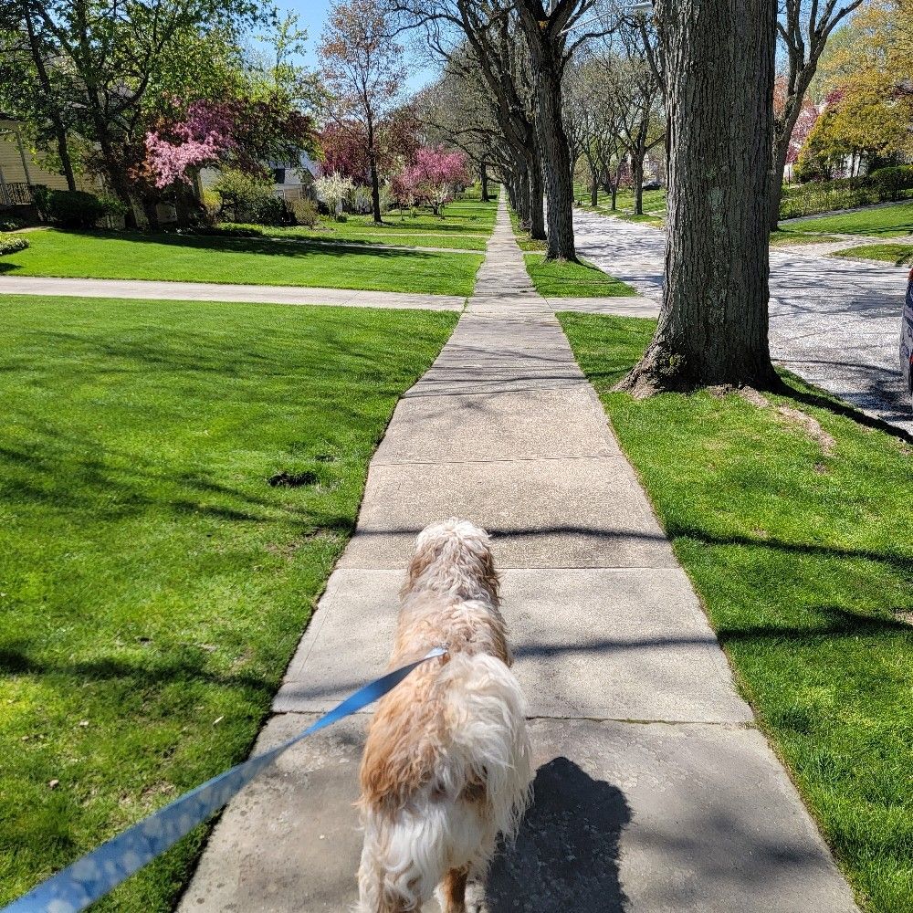 Andrew in Shaker