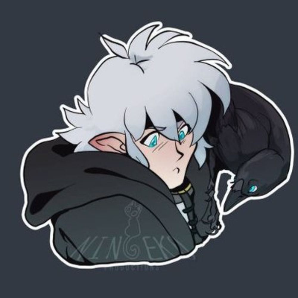 TheDumbHalf-Elf