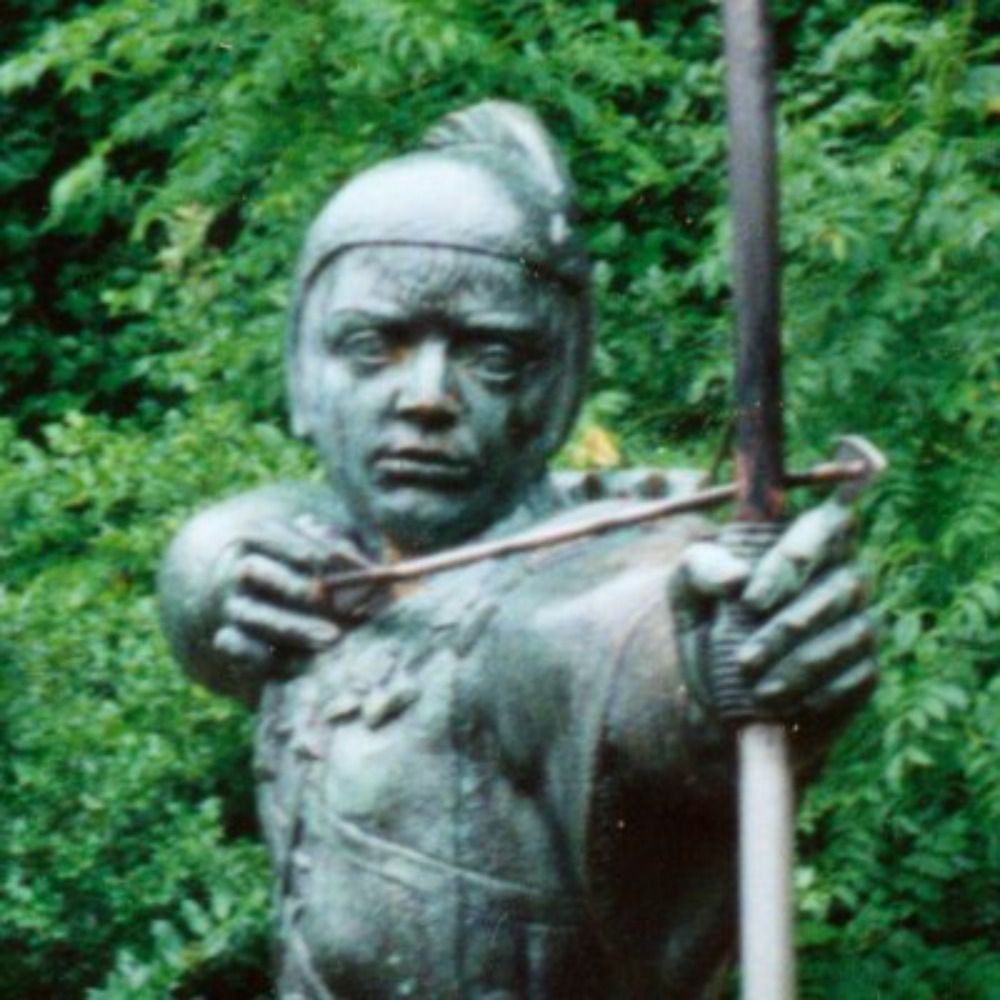 Robin Hood: Bold Outlaw's avatar