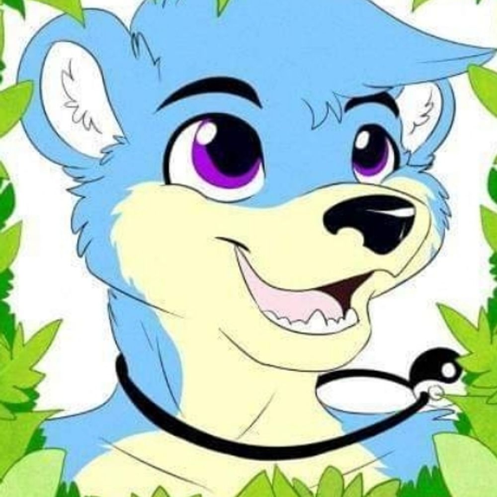 MaxOkami