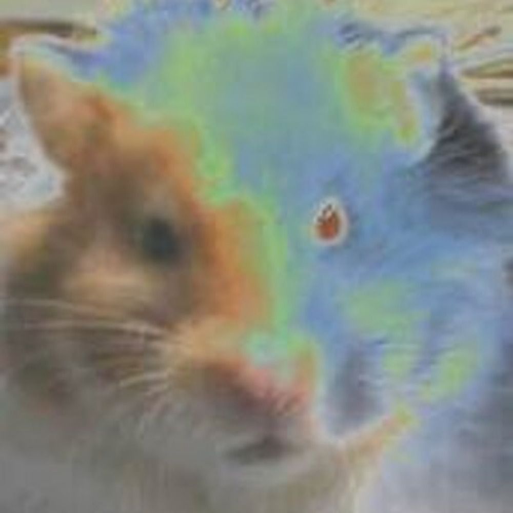 Hamstertron