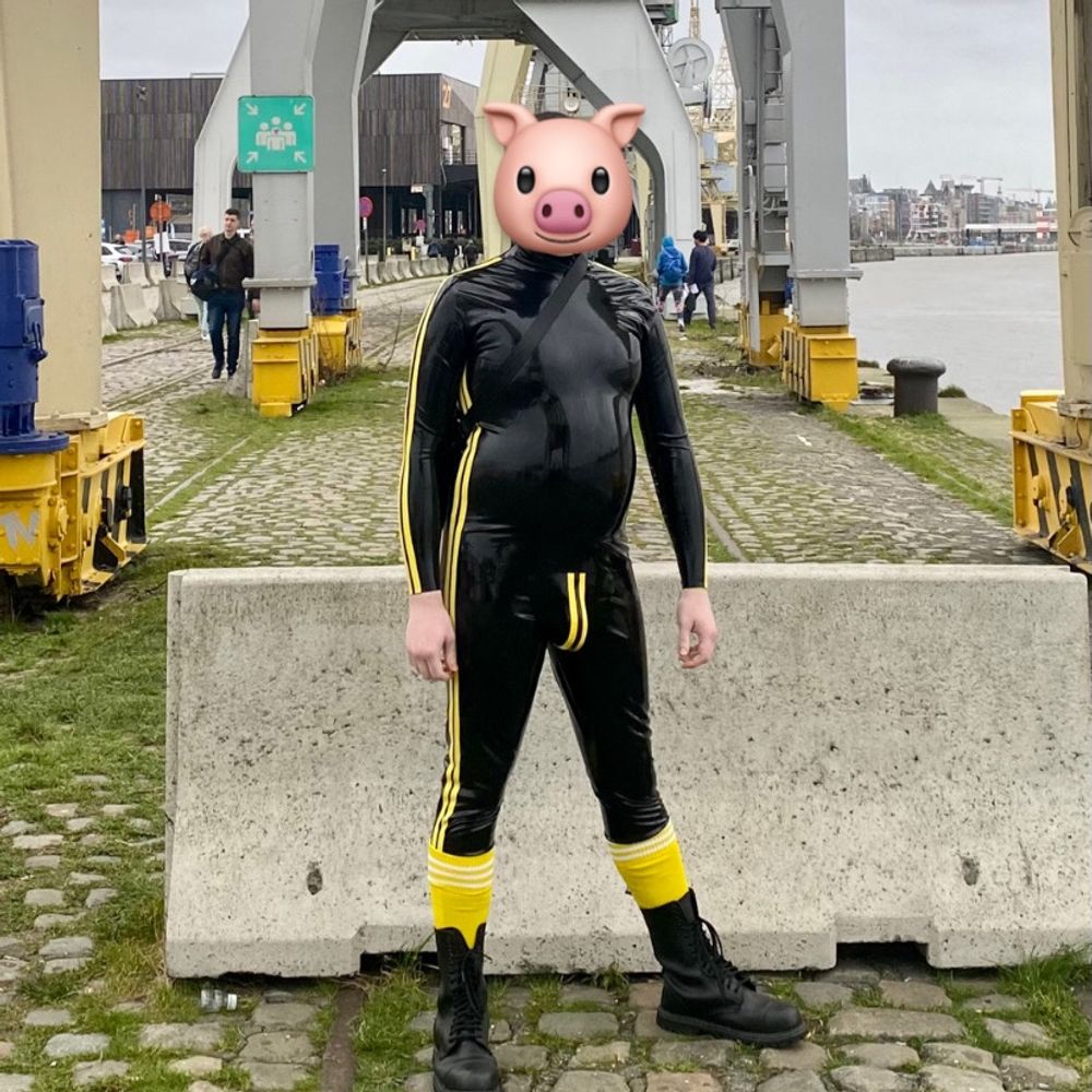 Irish Rubber Pig