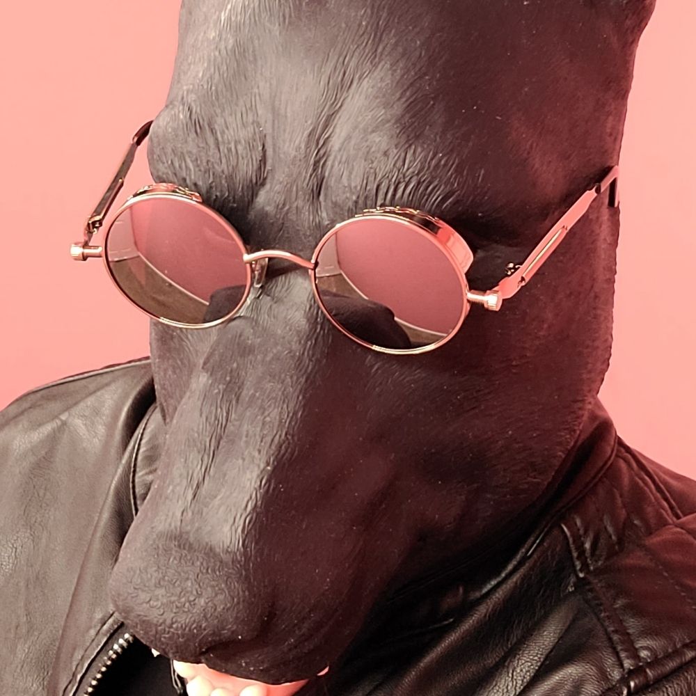 Enzo