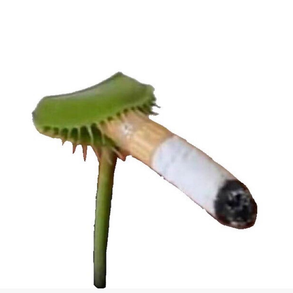 SickTree